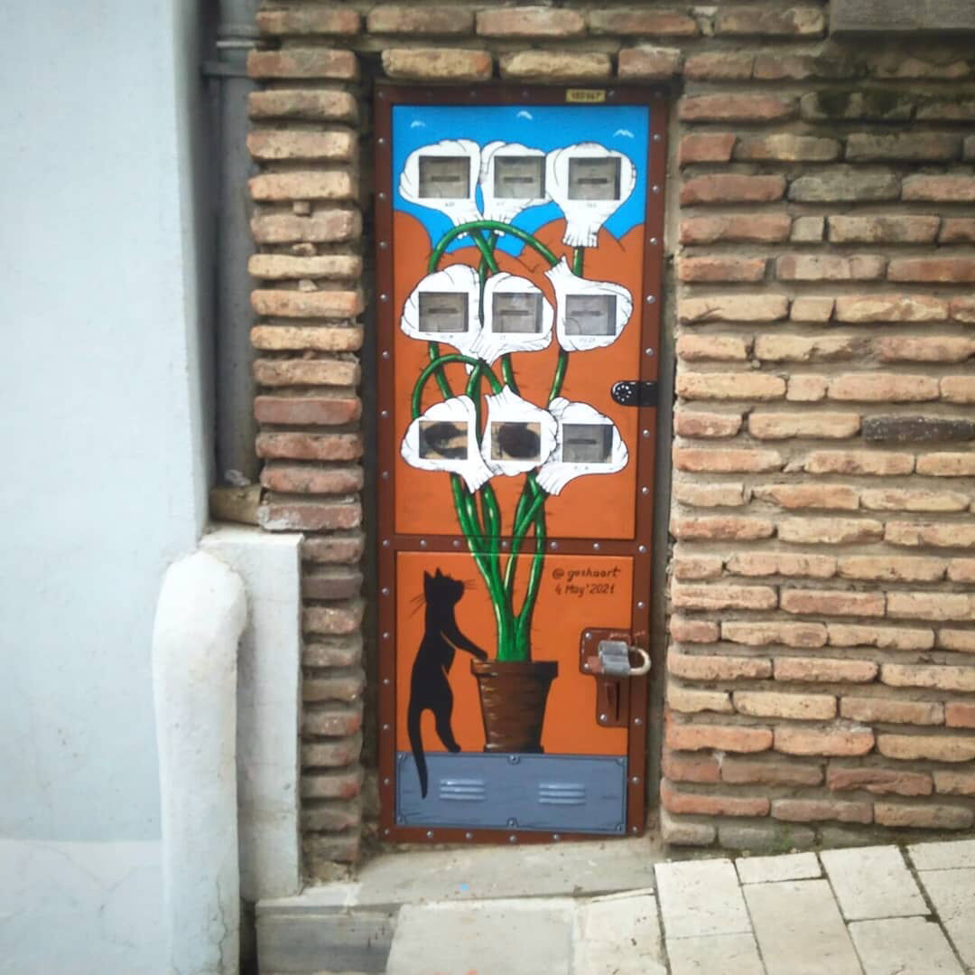 Black Cat & Khinkali Plant