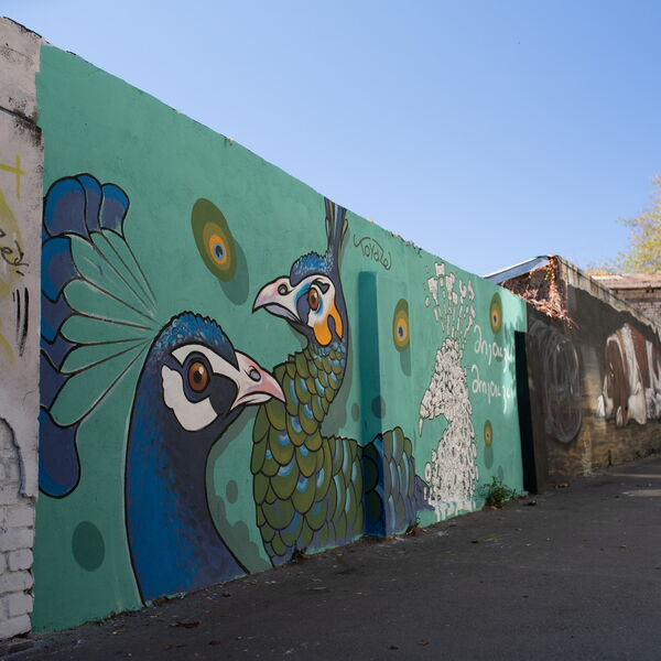 © Street Art Sakartvelo