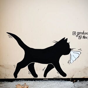 Black Cat stealing Khinkali