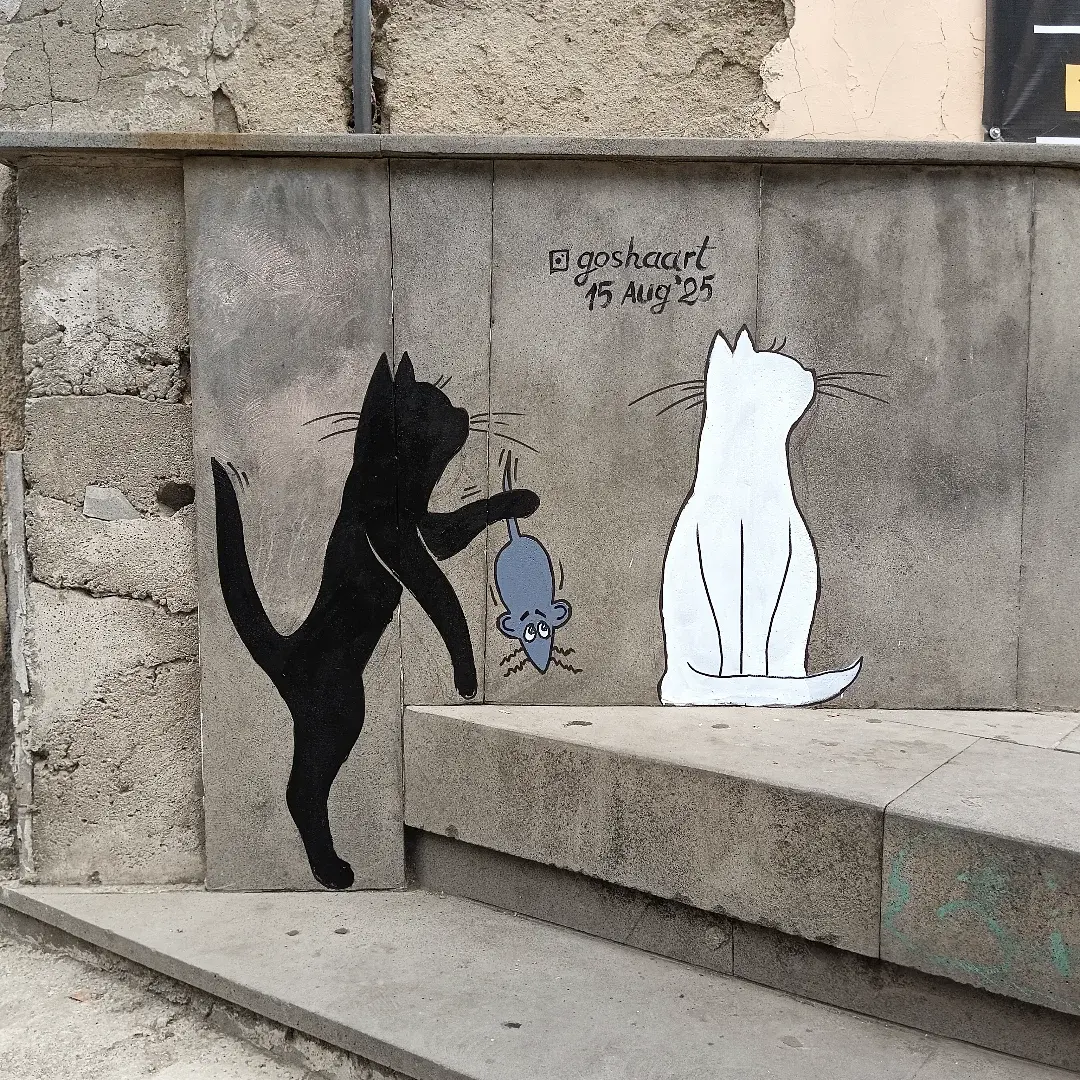 Black Cat & White Cat