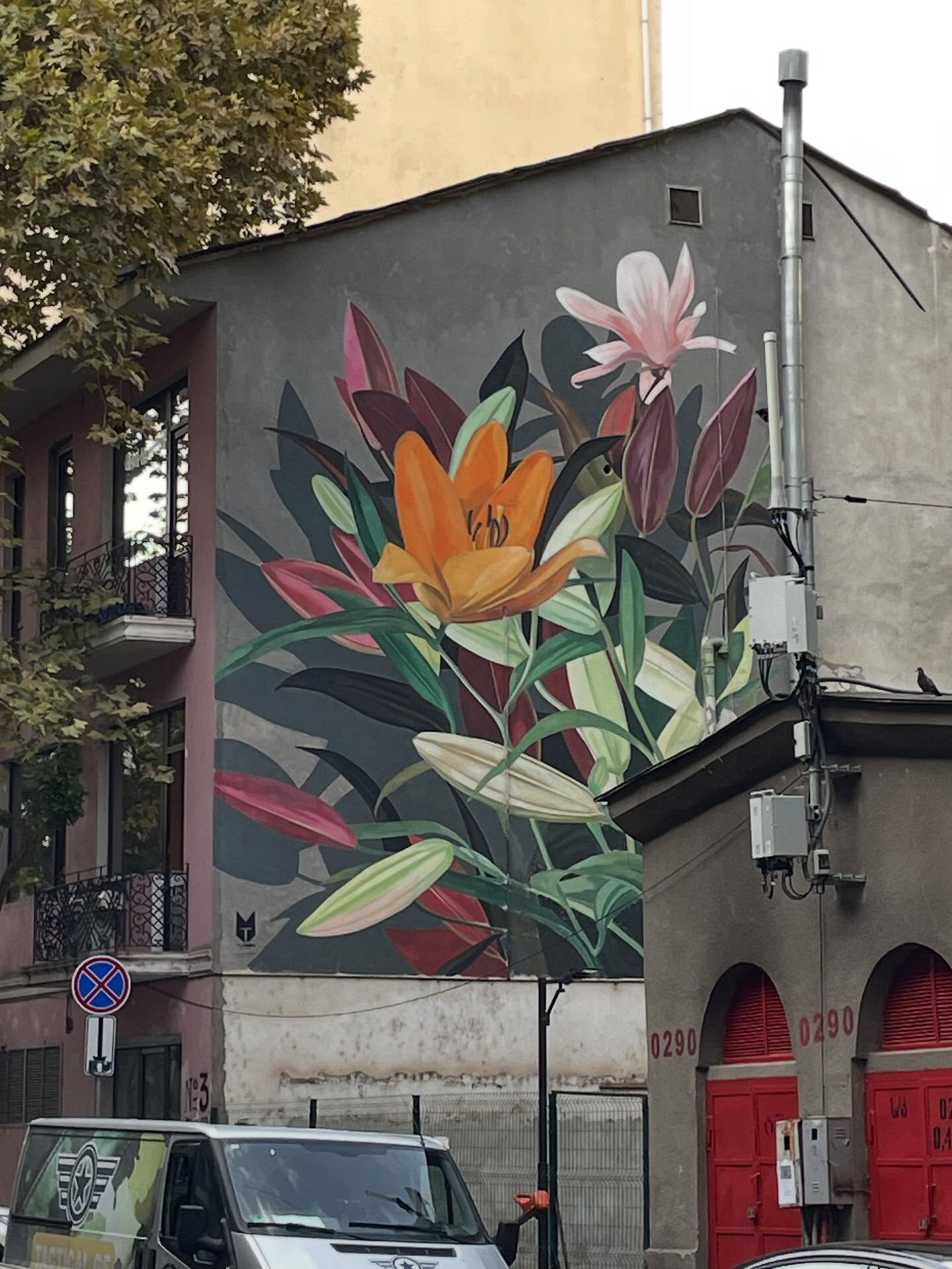 Flowers - Davit Samkharadze