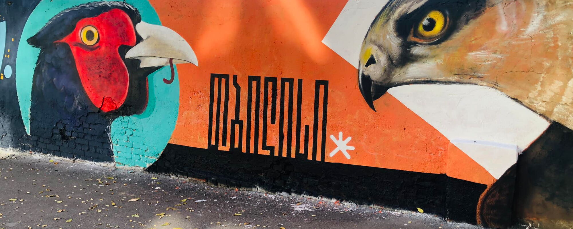 2023_11_06-tbilisi-saburtalo-tbilisi-gamez-street-art-sakartvelo-2.jpg