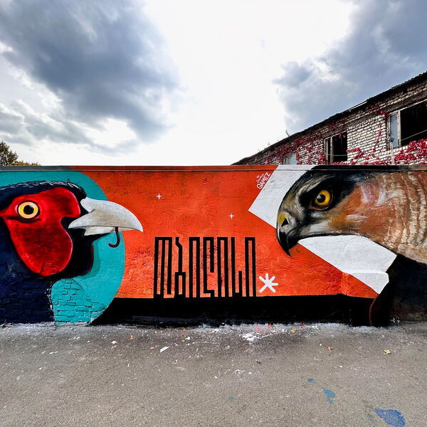 © Street Art Sakartvelo