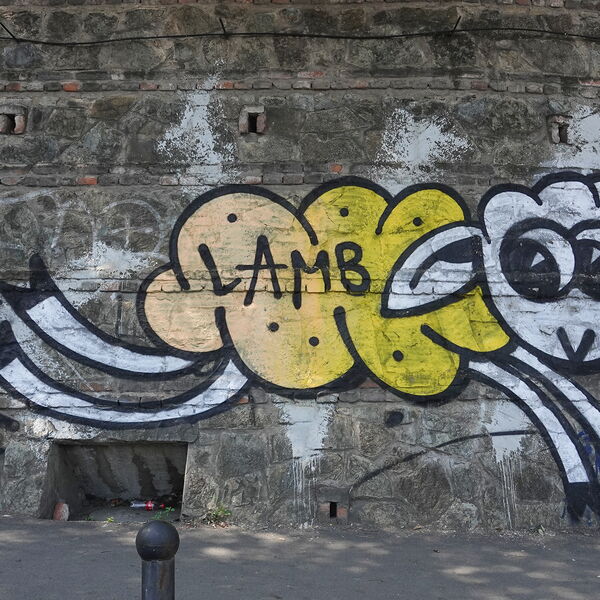 Lamb - Graffiti in Tbilissi © Katrin Tevdorashvili