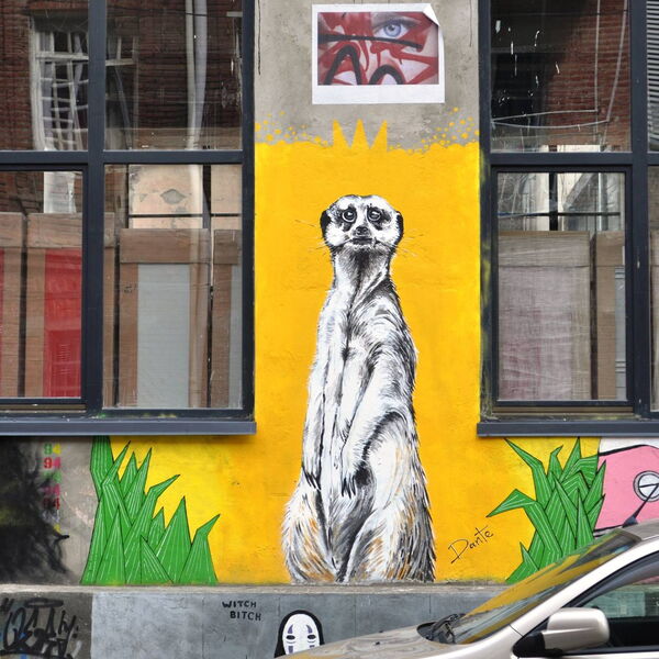 © Street Art in Georgia