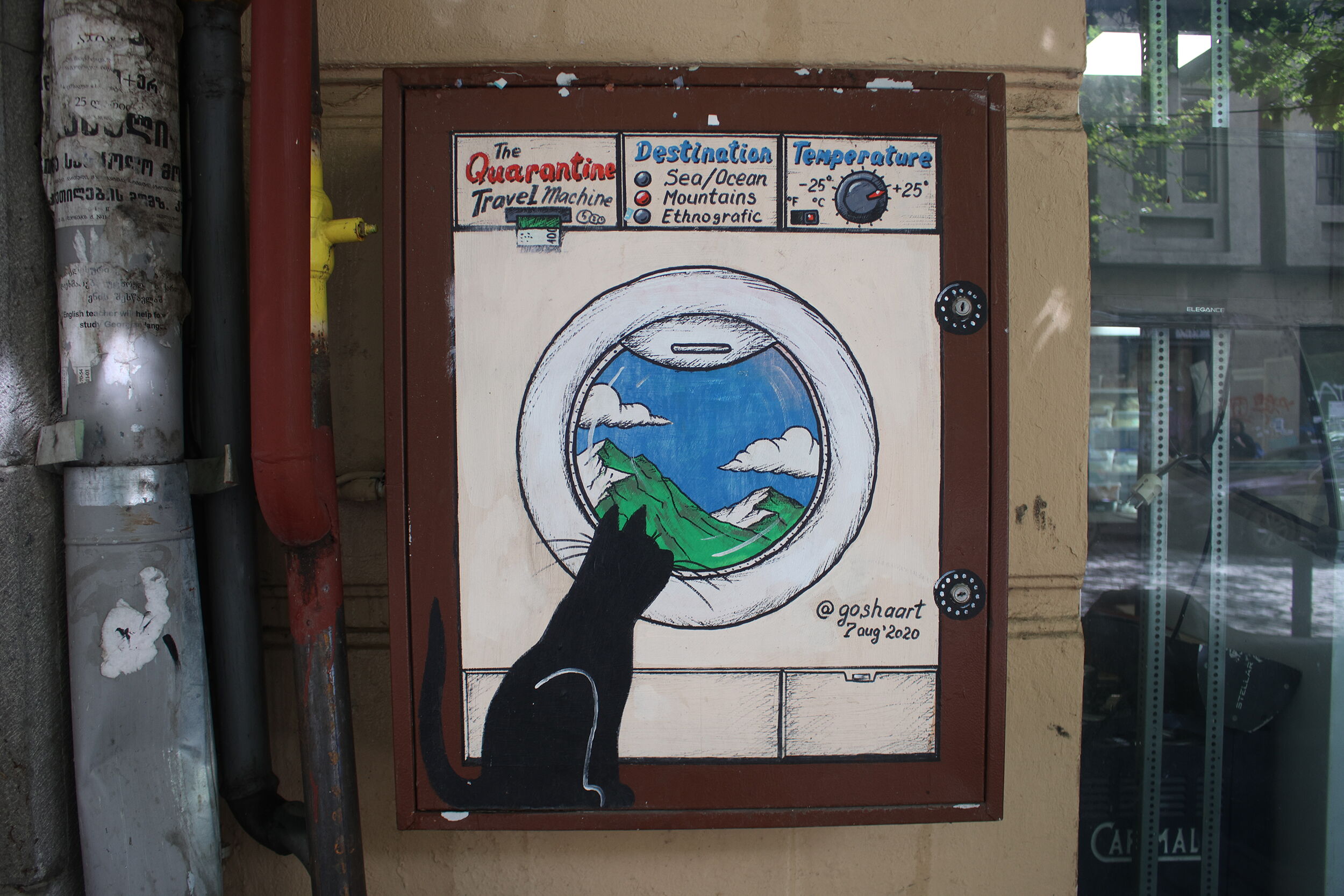 Black Cat & Quarantine Travel-Machine