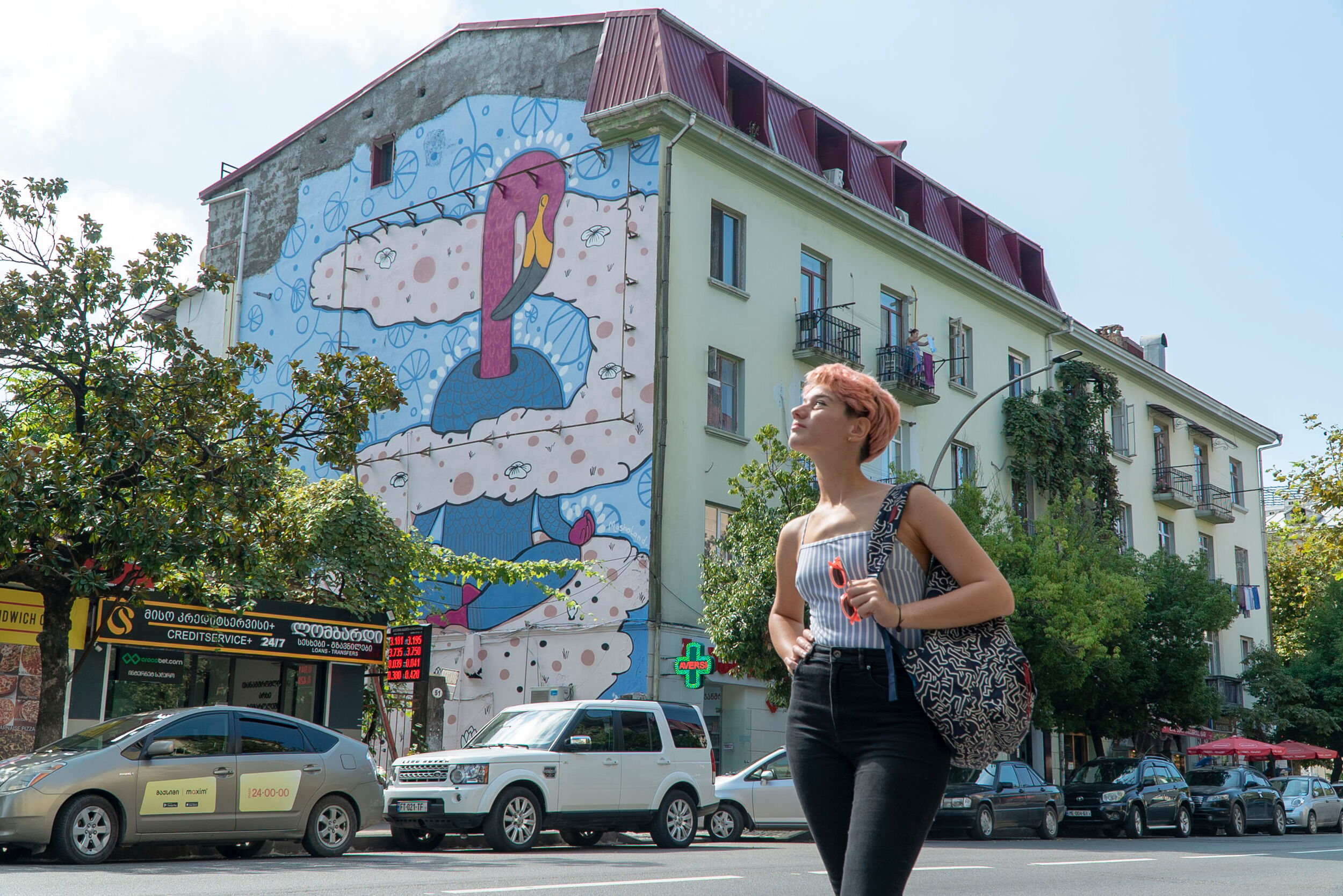 Calm Flamingo - Masholand