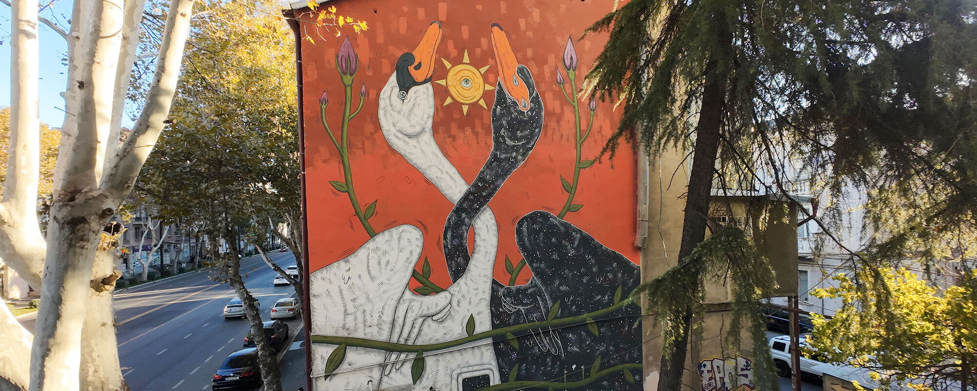 White Swan, Black Swan - Ledda