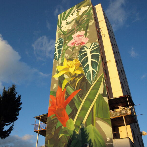 © Tbilisi Mural Fest