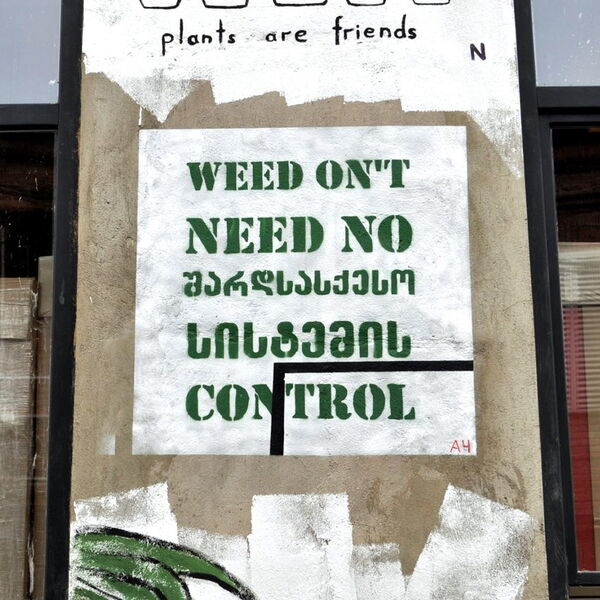 © Street Art in Georgia