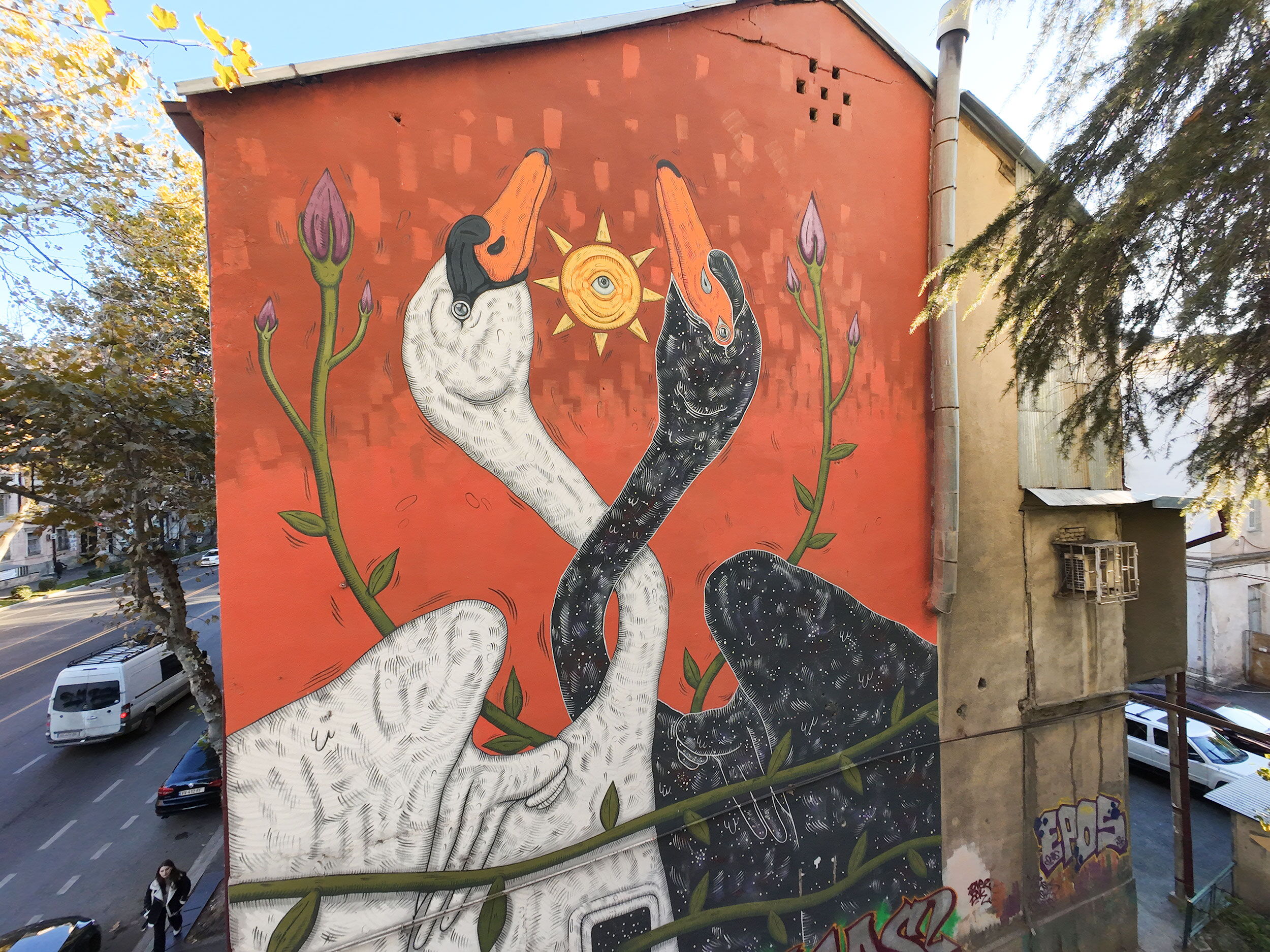 White Swan, Black Swan - Ledda