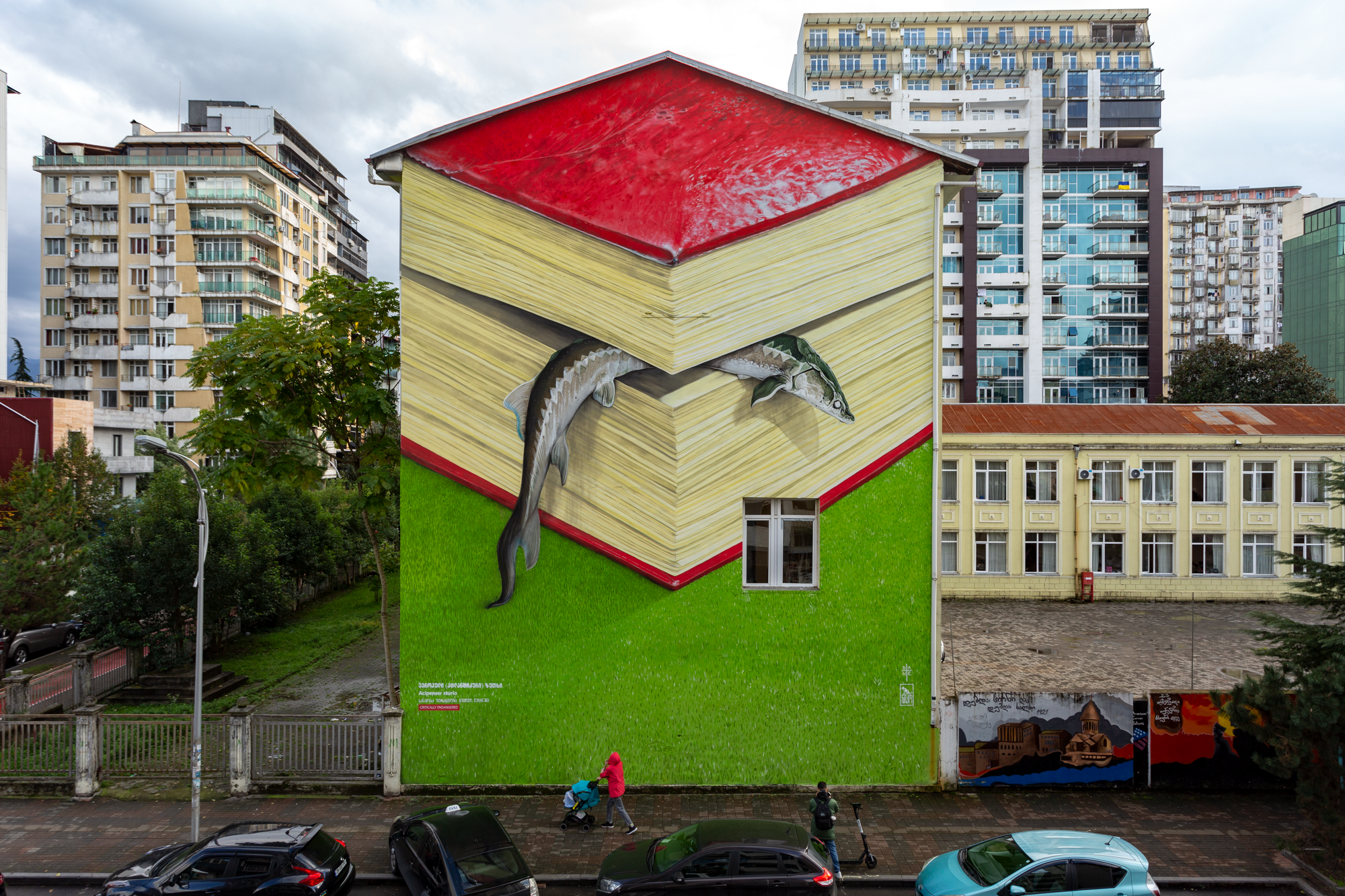 European Sturgeon - Dante © Niko Movement