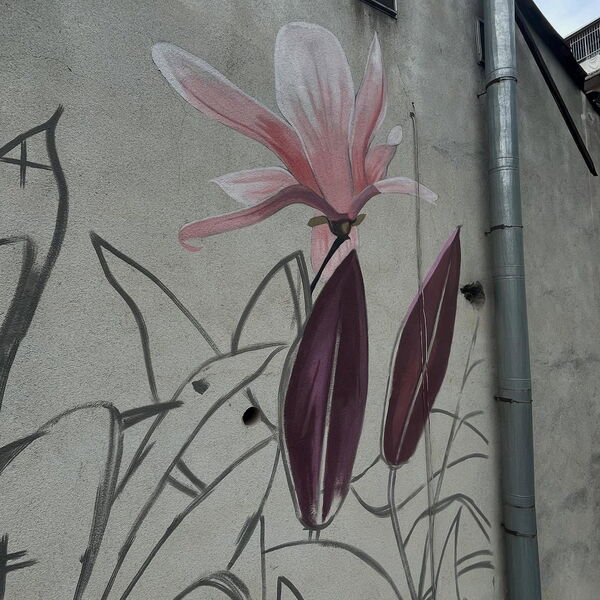 © Tbilisi Mural Fest