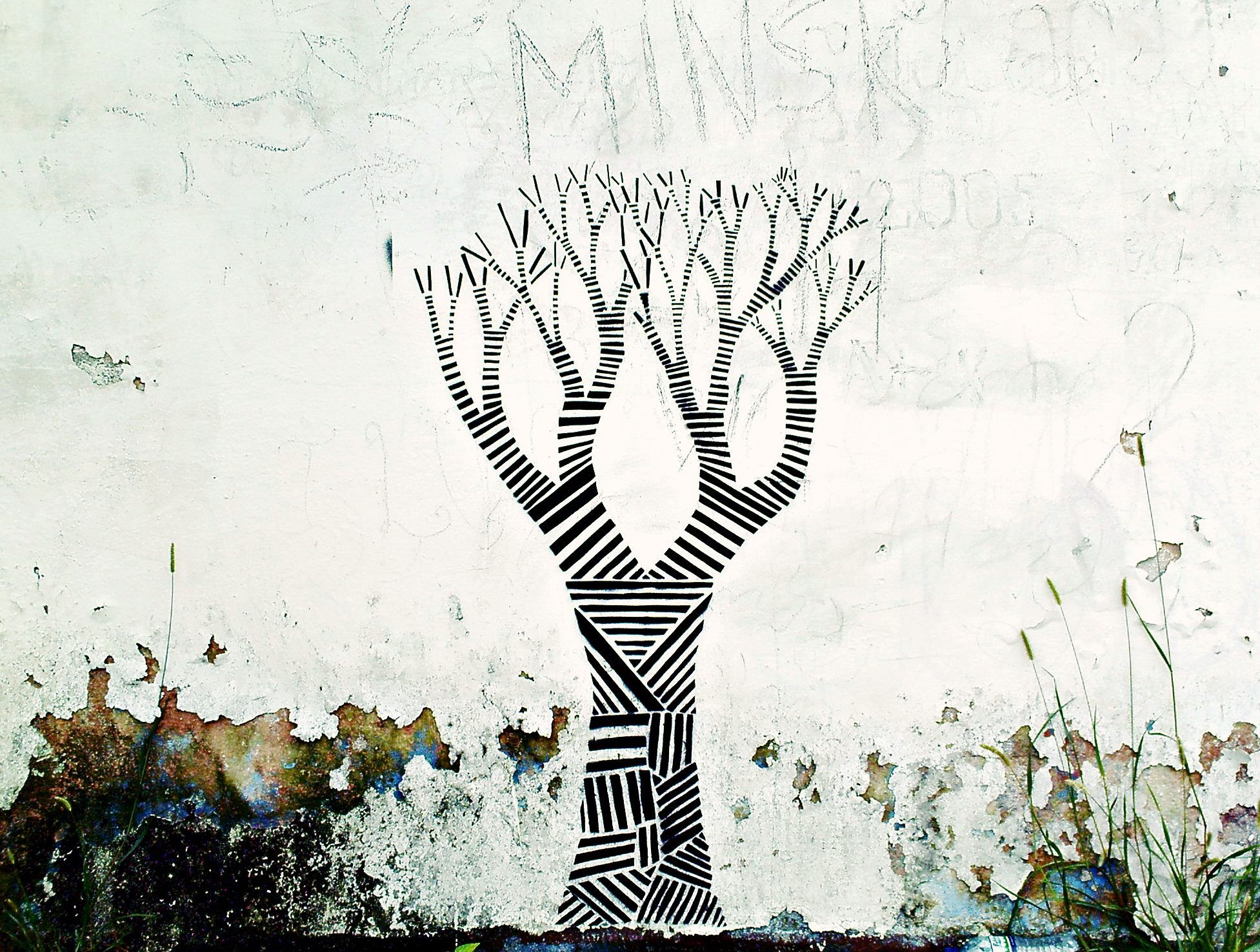 Transformed Tree - Afour