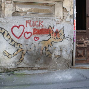 2016-tbilisi-sololaki-cat-665-kt-2068.jpg