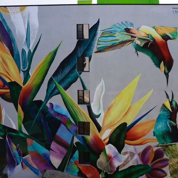 © Tbilisi Mural Fest