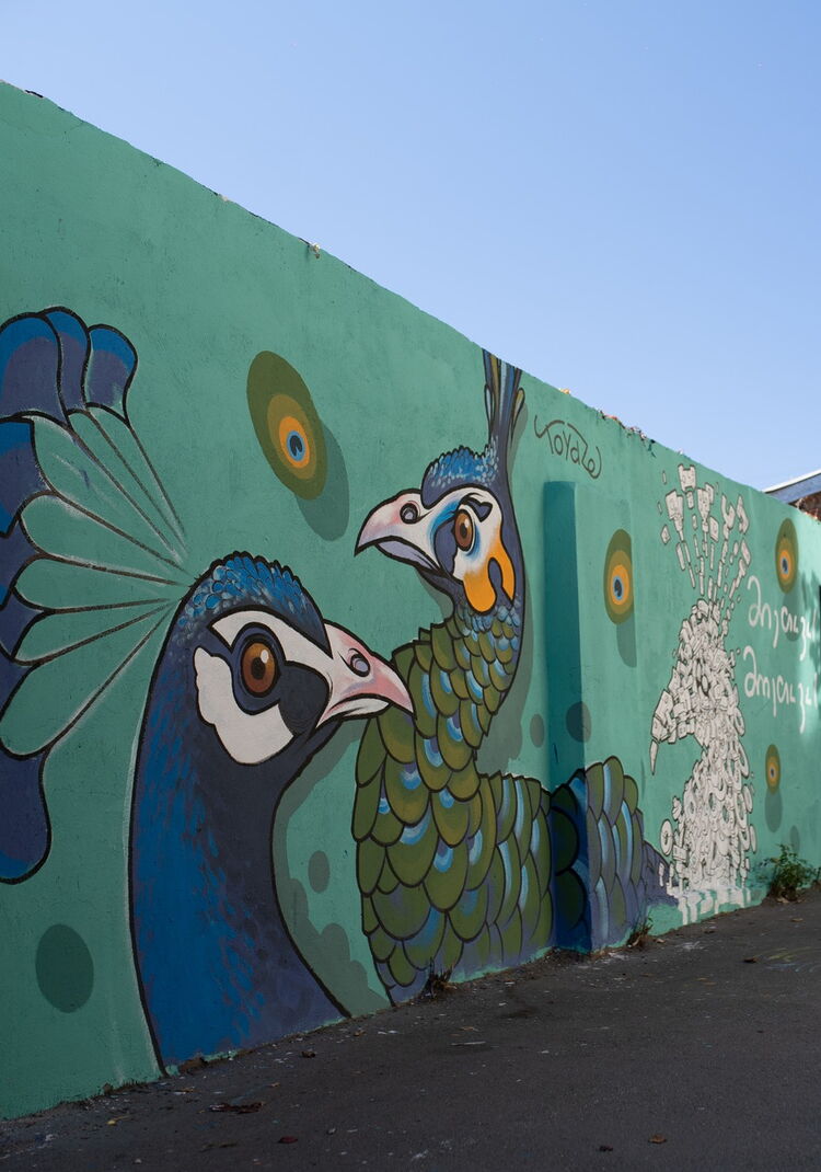 © Street Art Sakartvelo