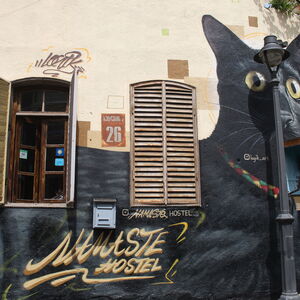 2023_03_11-tbilisi-betlemi-shiva-the-cat-logik-kt-1292.jpg