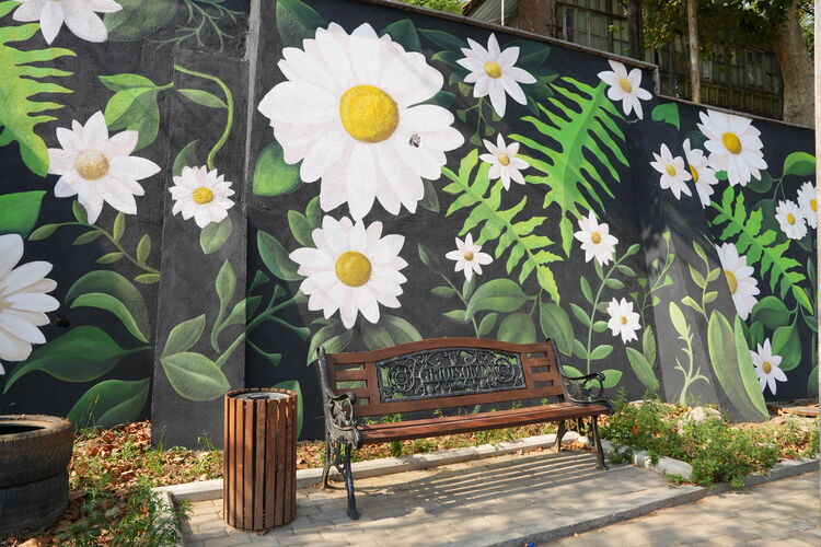 © Tbilisi Mural Fest