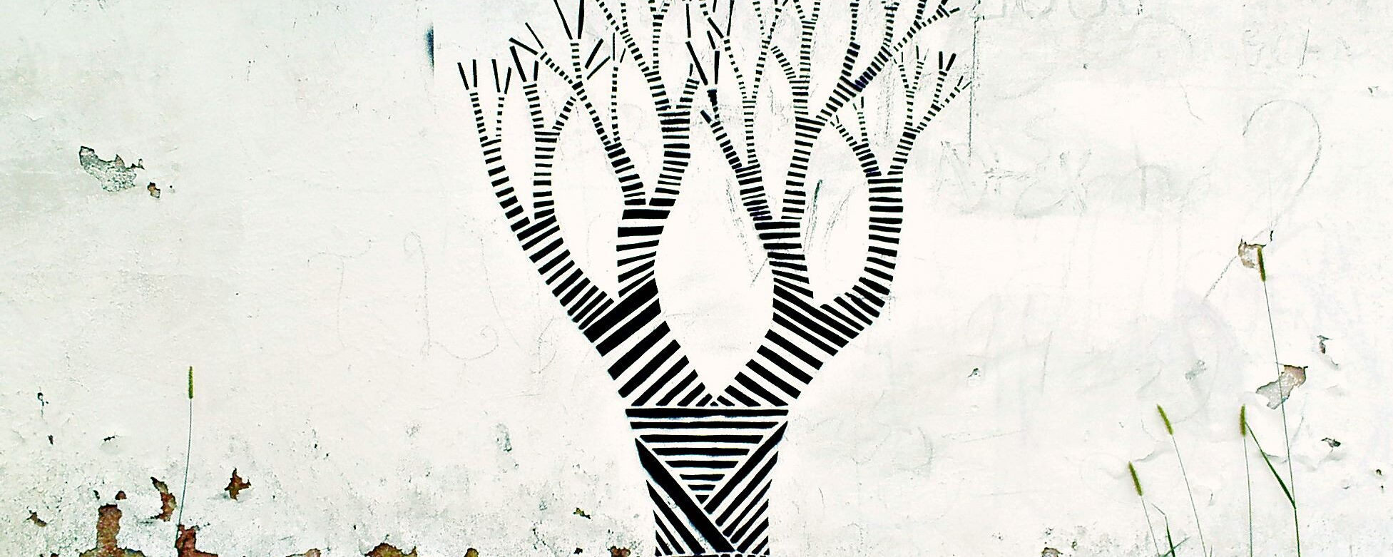 Transformed Tree - Afour