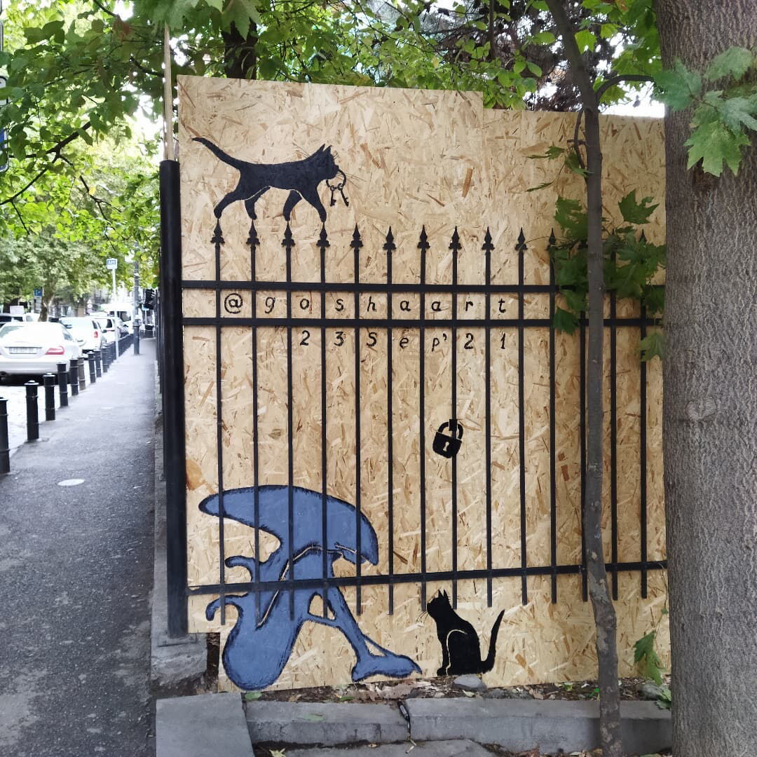 Little Alien catched