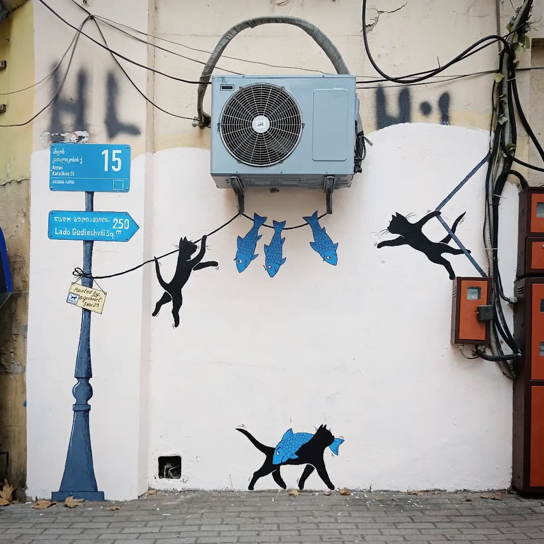 Black Cats stealing Fish